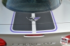 Custom designed cut vinyl racing stripes installed, carbon fiber & metallic purple