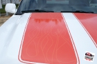 Custom designed, printed, and laminated vinyl racing stripes installed