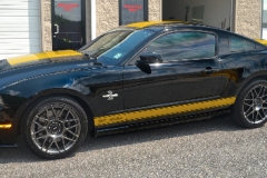 2012 Shelby GT500 - Custom Stripes